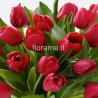 TULIPS RED IN NUMBER