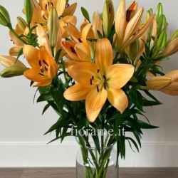 LILIUM ORANGE IN NUMBER