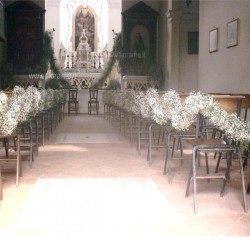 CHURCH GYPSOPHILA 2