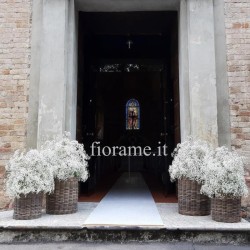 CHURCH GYPSOPHILA 4